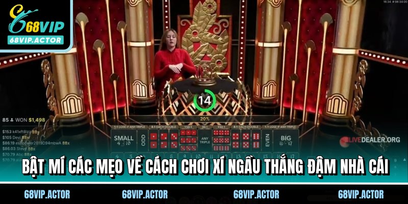 Cách Chơi Xí Ngầu 68VIP - Bí Quyết Thắng Đậm Nhà Cái 3 Bật mí các mẹo về cách chơi xí ngầu thắng đậm nhà cái