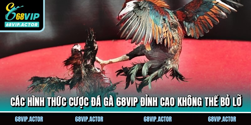 Đá Gà 68VIP - Top Các Kèo Cược Hấp Dẫn Không Thể Bỏ Qua 2 Các hình thức cược đá gà 68VIP đỉnh cao không thể bỏ lỡ