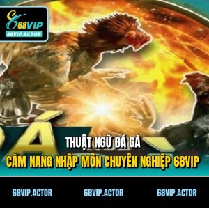 Thuật Ngữ Đá Gà