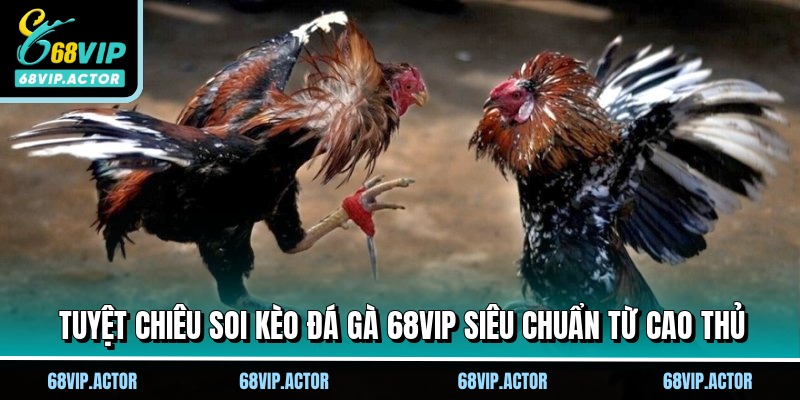 Tuyệt chiêu soi kèo đá gà 68VIP siêu chuẩn từ cao thủ